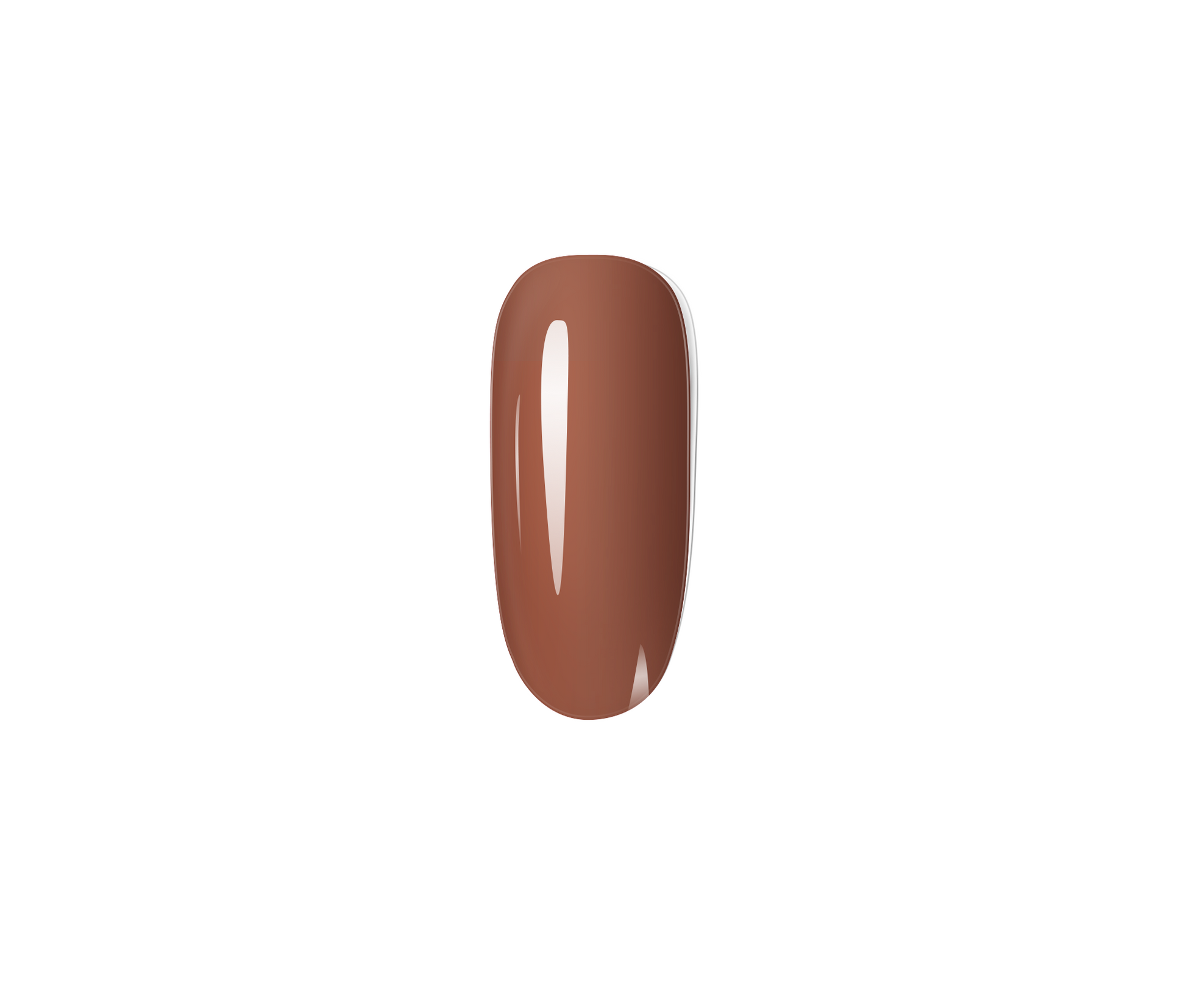 010 Chocolate Brown